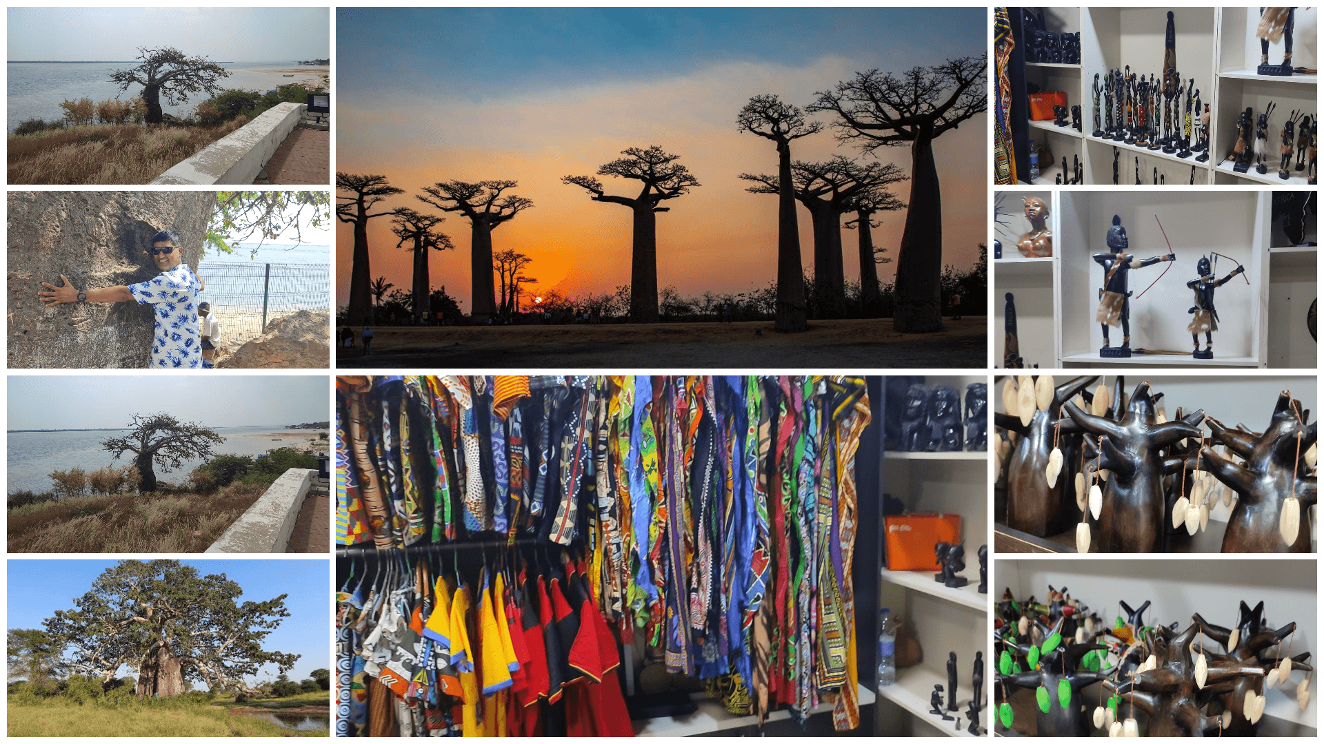 Visit to Angola Baobab Tree by Amar Infotech India