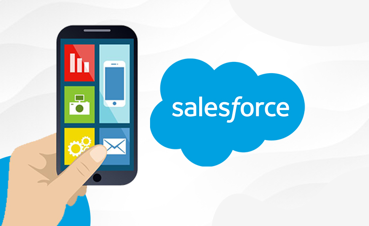 Integration of iPhone App with Salesforce