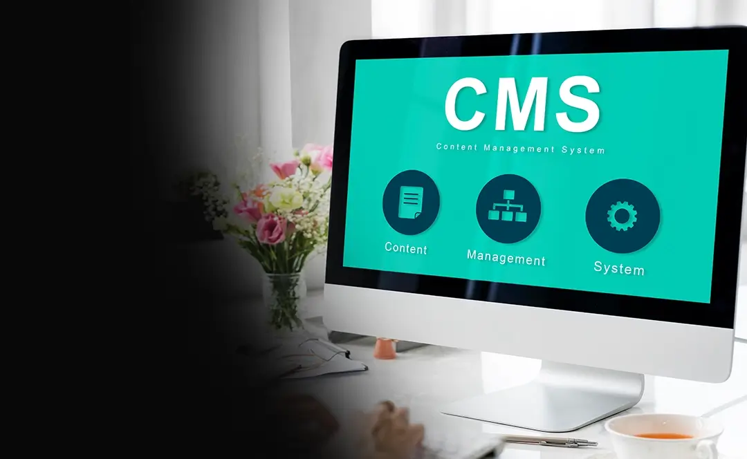 Content Management System (CMS) Development