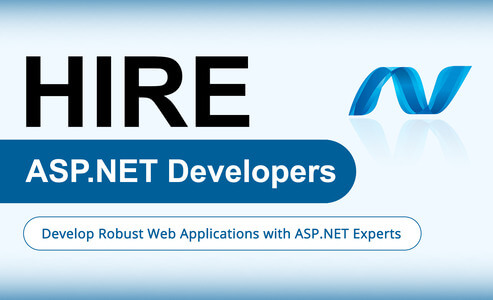 Hire .NET Developers