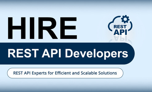 Hire the best REST API developers