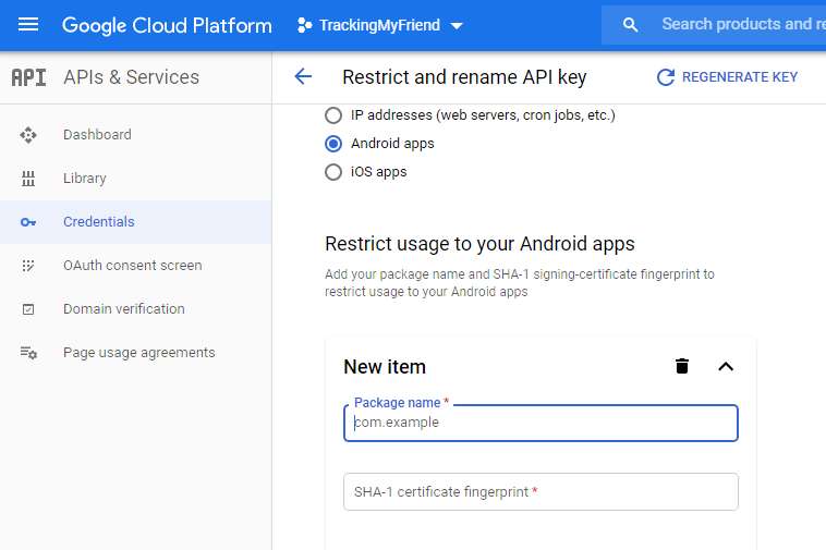 Google Maps API Key Access