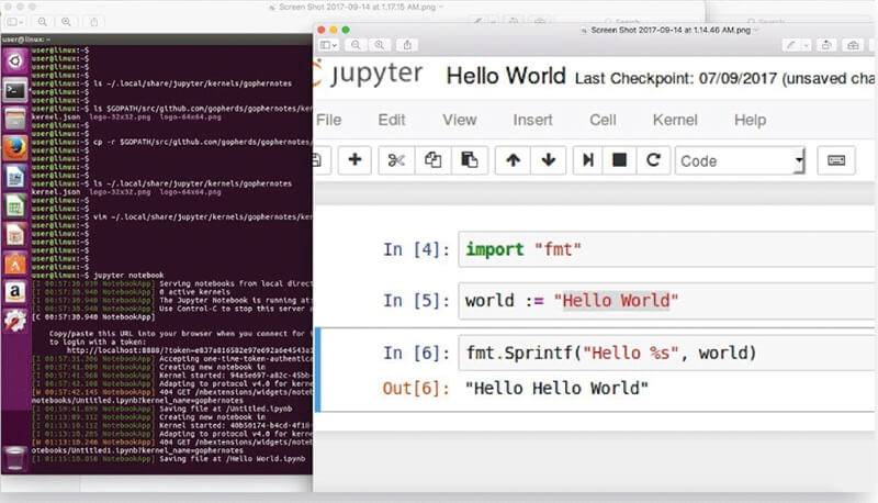 Jupyter and the future of IPython