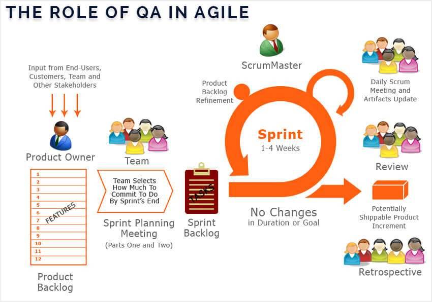 The Tester's Role in Agile